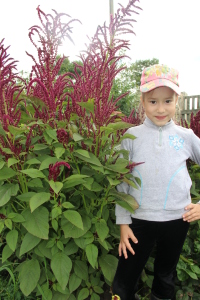 IMG_9967