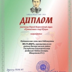 Диплом МИХ1